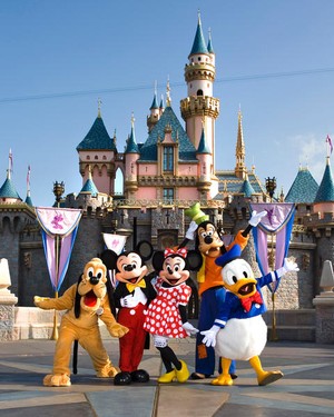 Pluto, Mickey, Minnie, Goofy & Donald