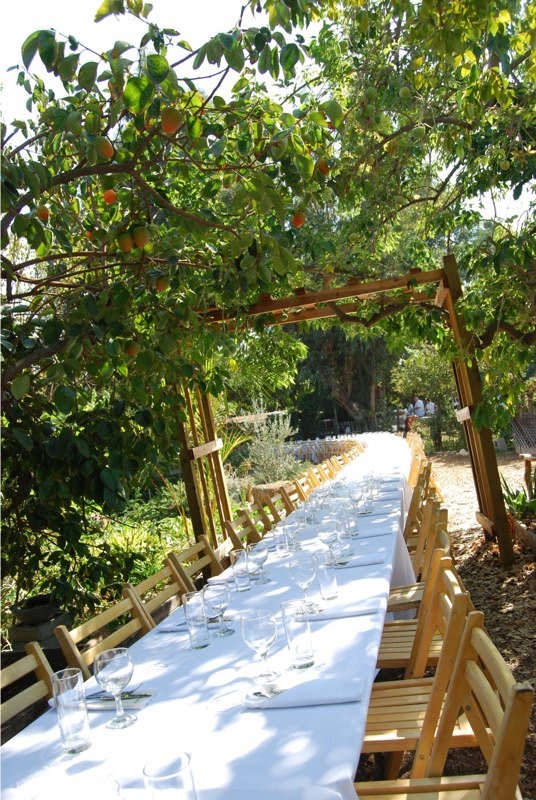 Wattles Farm Hollywood