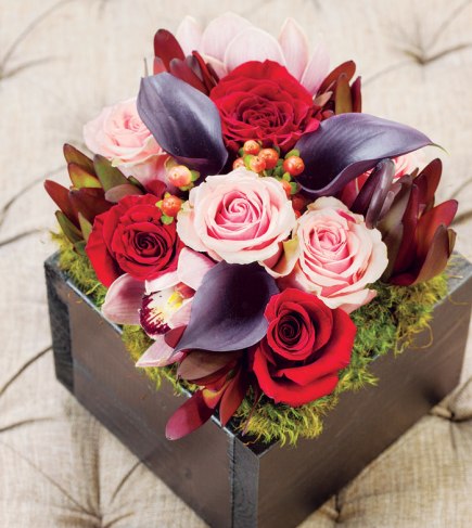 cocoa and olive flowers